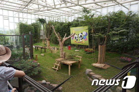 본문 이미지 - 시선의 사각지대가 전혀 없는 자이언트판다의 방사장. 풀과 나무로 잘 꾸며져 있어 겉으로만 보기에는 문제점을 짚어내기 어렵다. (사진 최혁준) ⓒ News1