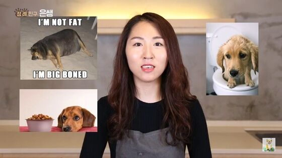 [점례야 놀자!] 강아지 수제간식 '과일 양갱' - 뉴스1