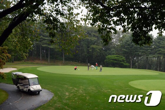 본문 이미지 - (사진은 기사 내용과 무관함).  2016.10.2/뉴스1 ⓒ News1 최현규 기자