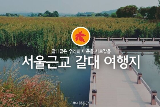 본문 이미지 - 문체부 여행주간 제공 ⓒ News1