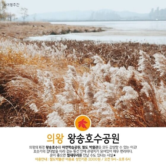 본문 이미지 - ⓒ News1