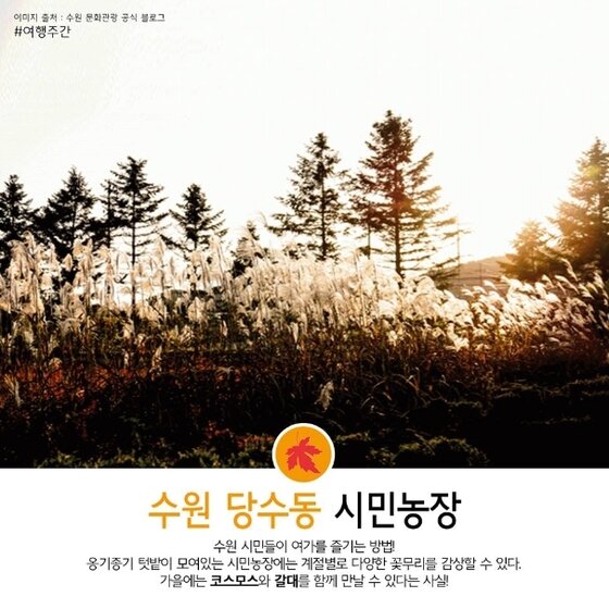 본문 이미지 - ⓒ News1