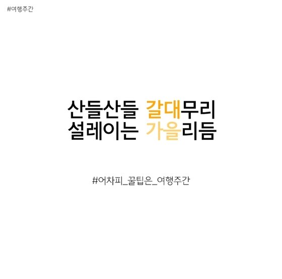 본문 이미지 - ⓒ News1