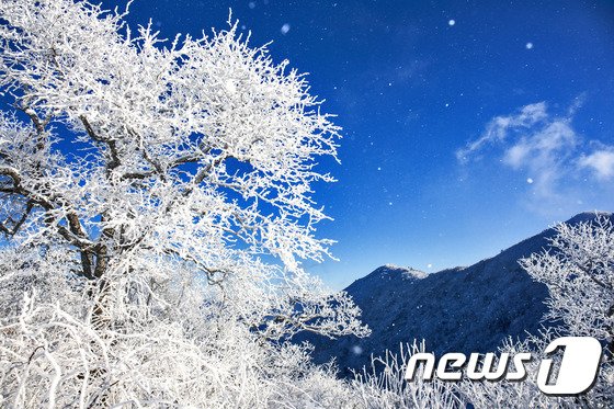 환경부가 23일 제15회 국립공원 사진공모전 최종수상작품을 발표하고 수상 사진들을 공개했다. 사진은 우수상을 수상한 윤흥 작가의 &#39;오대산-계방산동화나라&#39;. &#40;환경부 제공&#41; 2016.10.23/뉴스1