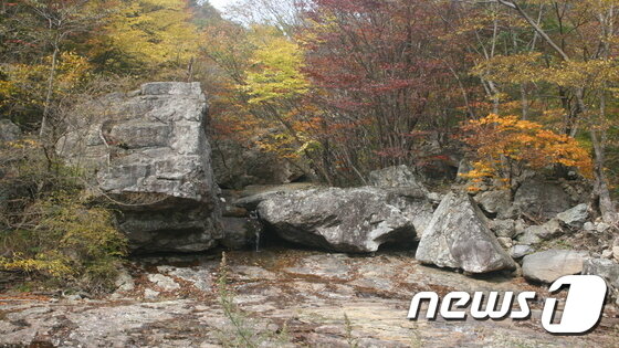 본문 이미지 - 전북 진안군 정천면 운장산자연휴양림이 가을로 물들기 시작했다. 이곳의 단풍은 11월10일까지가 절정이다.(운장산휴양림제공)2016.10.24/뉴스1 ⓒ News1 김동규 기자