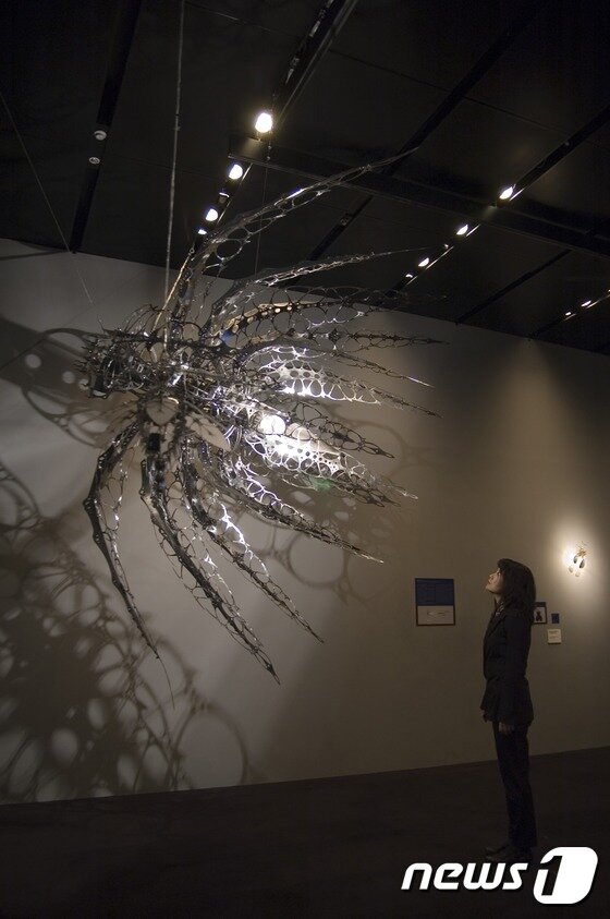 본문 이미지 - Urbanus Female, 2006, Metallic material, machinery, metal halide lamp, electronic device(CPU board, motor), 103(h) x 103(w) x 241(d)cm (대구미술관 제공) ⓒ News1