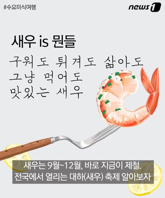 본문 이미지 - ⓒ News1