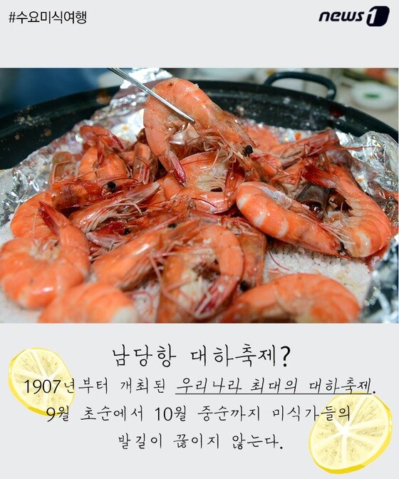 본문 이미지 - ⓒ News1