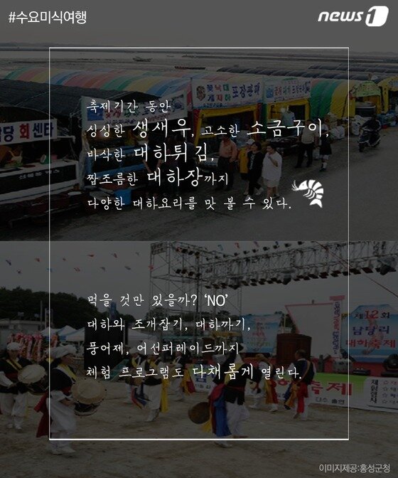 본문 이미지 - ⓒ News1