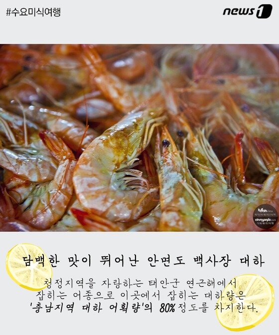 본문 이미지 - ⓒ News1