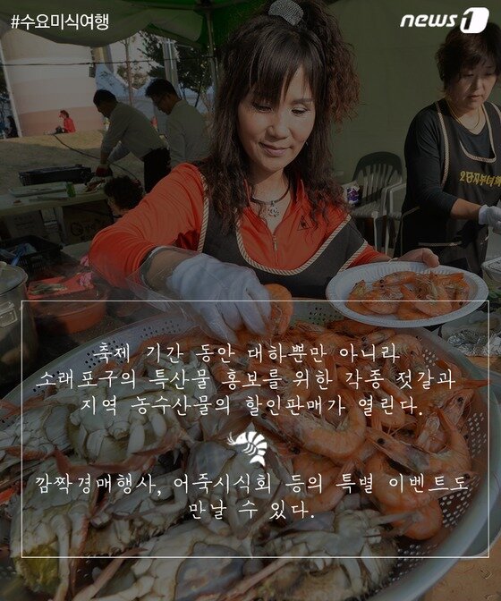 본문 이미지 - ⓒ News1