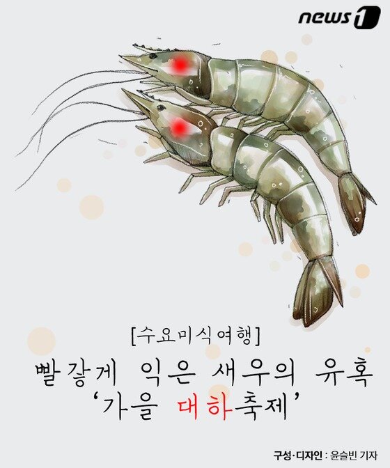 본문 이미지 - ⓒ News1