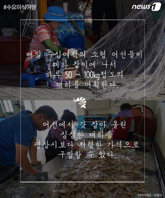 본문 이미지 - ⓒ News1