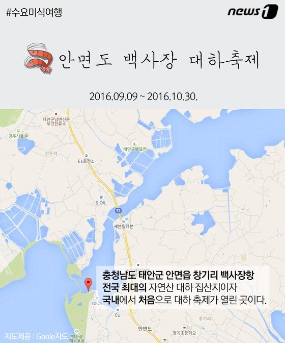 본문 이미지 - ⓒ News1