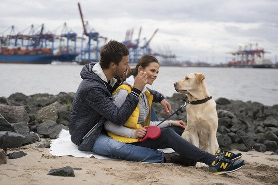 본문 이미지 - (사진제공=플렉시사(Flexi)) ⓒ News1