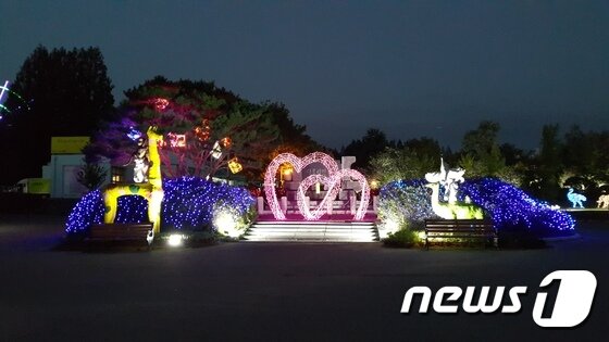 본문 이미지 - 전북 전주동물원이 7일부터 16일까지 열흘 동안 야간 개장을 할 예정인 가운데 화려한 조명이 가을밤 하늘을 아름답게 수놓고 있다.(전주시 제공)2016.10.7/뉴스1 ⓒ News1 김춘상 기자