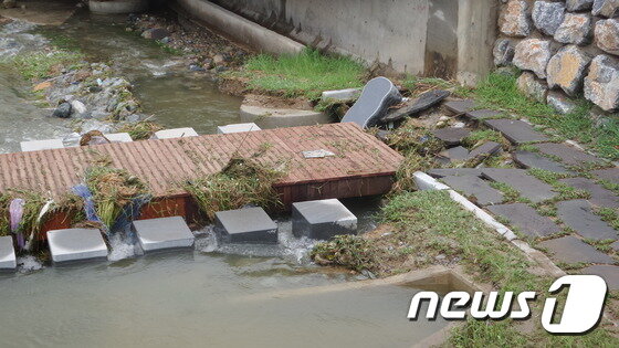 본문 이미지 -  420억원(국비 294억원, 기금 88억원, 도비 11억원, 시비 29억원)이 투입돼 추진된 충주천 생태하천복원사업이 지난 7월 내린 장맛비에 아수라장으로 변하며 부실공사 논란을 불러왔다.ⓒ News1