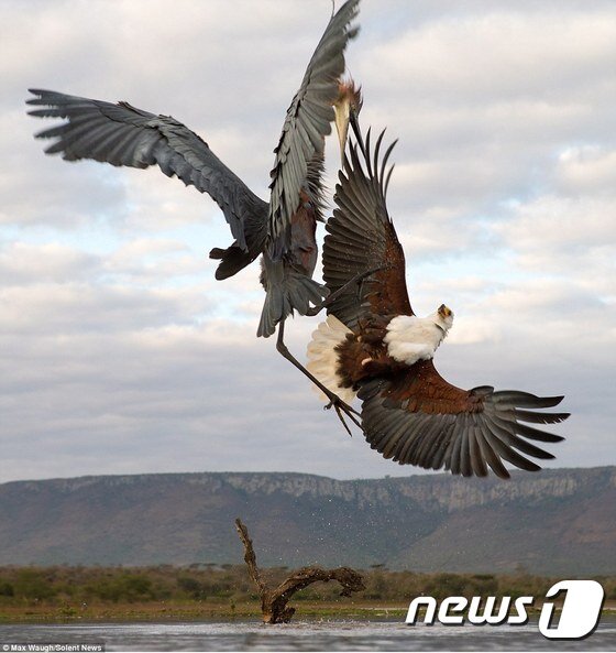 본문 이미지 - ⓒ News1