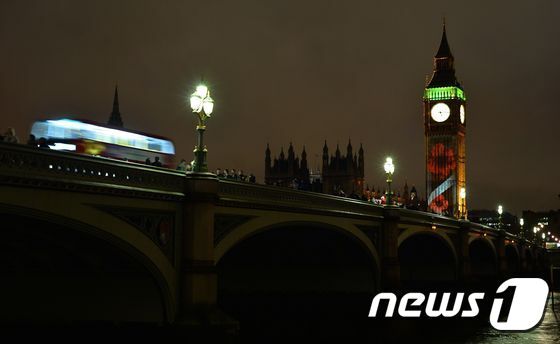 본문 이미지 -  11월에 런던을 떠나면 어디서든 양귀비를 만나볼 수 있다.ⓒ AFP=뉴스1