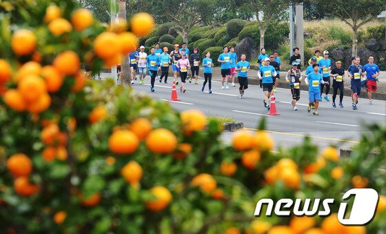 본문 이미지 - 제주 서귀포시 제주월드컵경기장광장에서 열린 ‘2016 부영사랑으로 제주감귤국제마라톤대회’에서 참가자들이 힘찬 레이스를 펼치고 있다.2016.11.13/뉴스1 ⓒ News1 