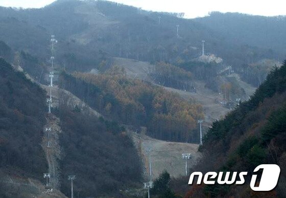 본문 이미지 - 강원 정선 알파인 경기장 슬로프 전경. 2016.11.10/뉴스1 ⓒ News1 하중천 기자