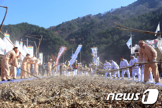 (인제=뉴스1) 고재교 기자 = 20일 강원도 인제군 인제읍 하추리 자연체험학교 일원에서 열린 하추마을 도리깨축제에서 도리깨공연이 진행되고 있다. (인제군 제공) 2016.11.2 …