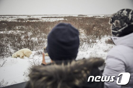 본문 이미지 - (이미지제공=캐나다관광청)ⓒ News1