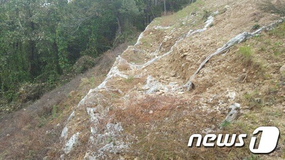 본문 이미지 - 무주군 산림조합이 시공한 임도의 사면이 무너져 내리고 있다. 일시적으로 나무를 이용해 토사가 밀려나가는 것을 막았지만 소용이 없다./뉴스1ⓒ News1