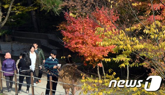 본문 이미지 - 계룡산국립공원 수통골을 찾은 등산객들이 울긋불긋 물들어가는 단풍을 구경하며 산행을 즐기고 있다. (자료사진) ⓒ News1 장수영 기자