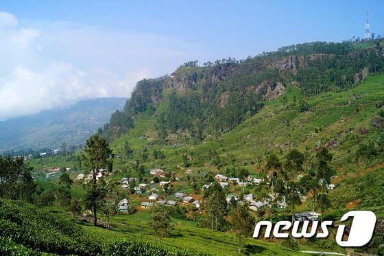 본문 이미지 - 스리랑카 하푸텔레 산골 마을을 풍경 ⓒ 최종일 기자=News1