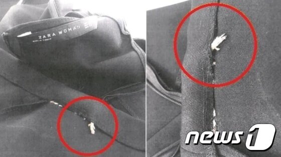 본문 이미지 - 미국 자라 매장에서 구매한 원피스 솔기 속에서 죽은 쥐가 발견돼 '해외토픽'으로 전파됐다. ⓒ News1