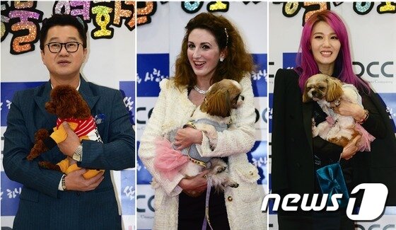 본문 이미지 - 2016 국제반려동물영화제(CAFF)가 1일 서울 양천구 목동 대한민국예술인센터에서 화려한 막을 올렸다. 이날 열린 개막식 레드카펫 행사에는 개막작 '또 하나의 사랑'(감독 김영언)에 출연한 배우 장민영·강민태를 비롯해 개그맨 지상렬, 방송인 크리스티나 콘팔로니에, 가수 길건 등 20여명의 연예인들이 참석해 영화제를 빛냈다.ⓒ News1