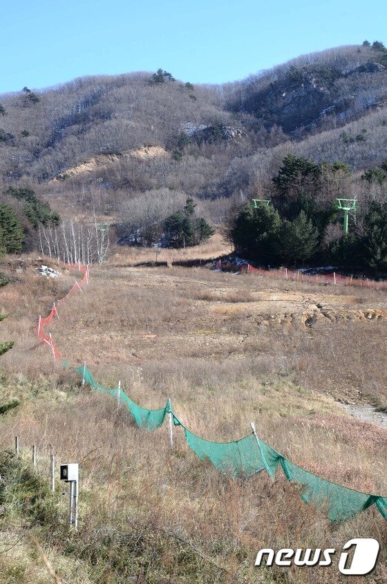 본문 이미지 - 강원도 고성도 알프스 스키장. 2016.12.02/뉴스1 ⓒ News1 고재교 기자