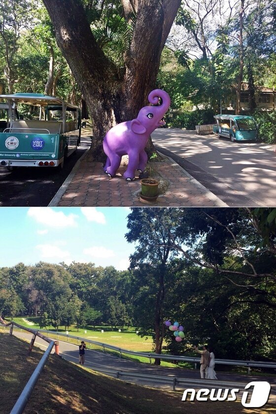 본문 이미지 - 대학교를 둘러보려면 전기차 투어를 이용해야 한다.ⓒ News1 윤슬빈 기자