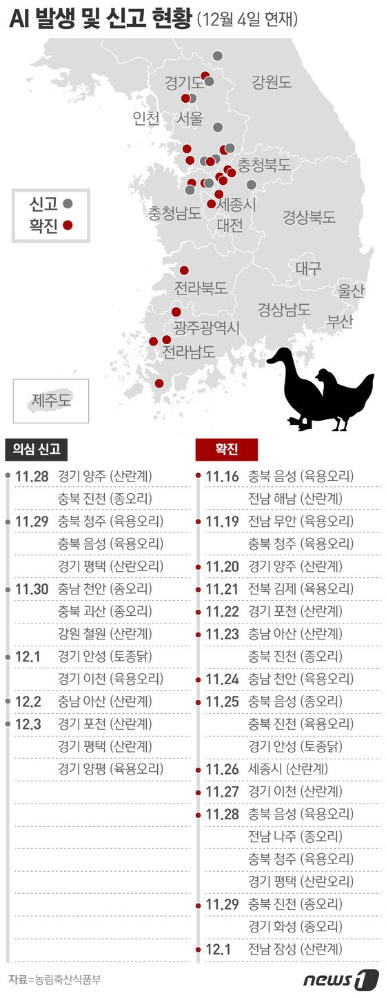 본문 이미지 - ⓒ News1 방은영 디자이너