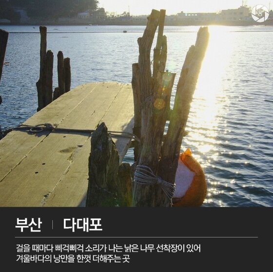 본문 이미지 - 부산광역시 사하구 다대동ⓒ News1