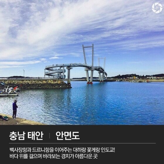 본문 이미지 - 충남 태안군 안면읍 창기리 ⓒ News1