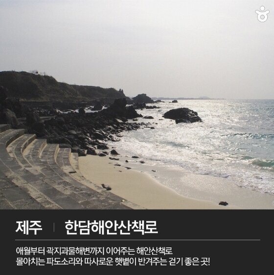 본문 이미지 - 제주시 애월읍 곽지리 1359 ⓒ News1