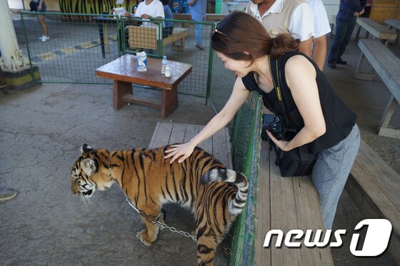 본문 이미지 - 각종 동물들을 가까이에서 만나볼 수 있는 주빅 사파리 어드벤처 파크의 사파리 투어.(이미지제공=필리핀관광청)ⓒ News1