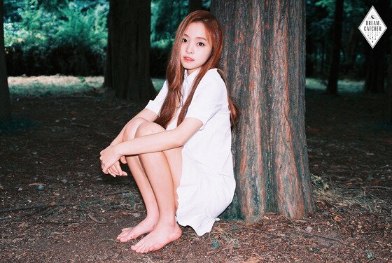 본문 이미지 - 신인 걸그룹 드림캐쳐의 멤버 가현이 공개됐다. ⓒ News1star / 해피페이스엔터테인먼트