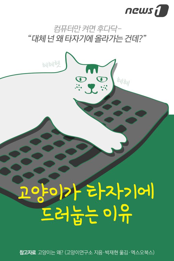 본문 이미지 - ⓒ News1