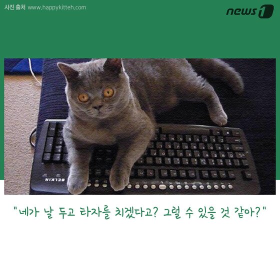 본문 이미지 - ⓒ News1