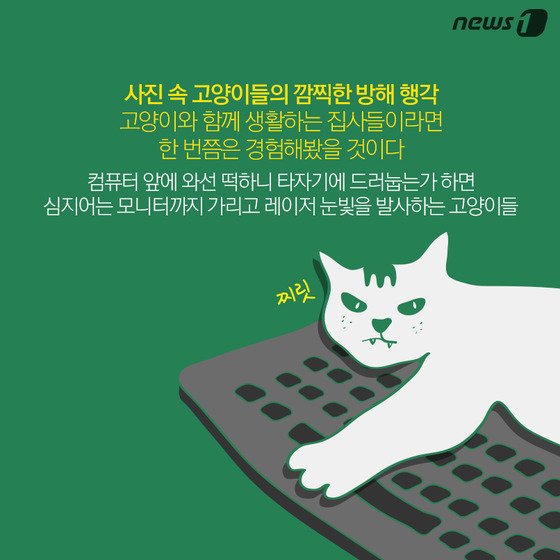 본문 이미지 - ⓒ News1