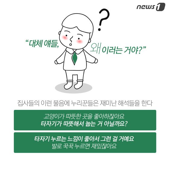 본문 이미지 - ⓒ News1