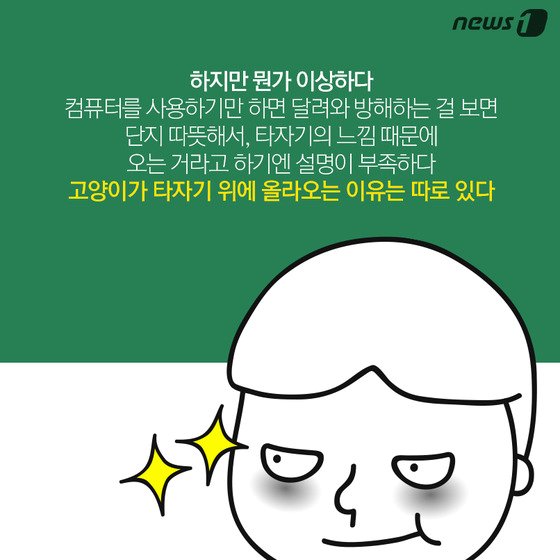 본문 이미지 - ⓒ News1