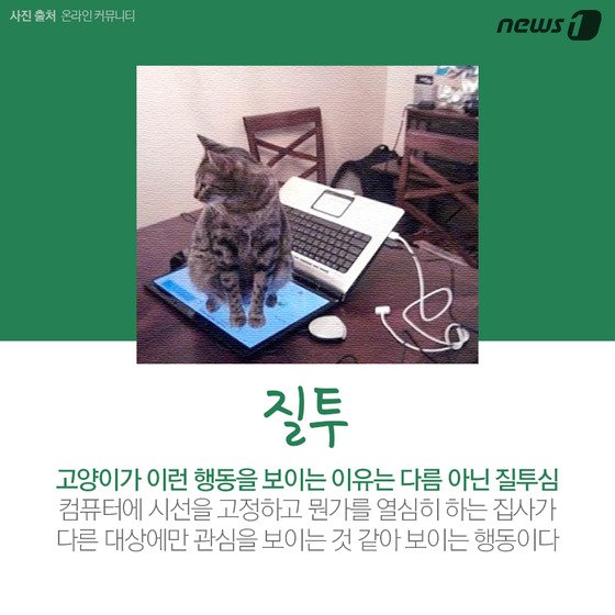 본문 이미지 - ⓒ News1
