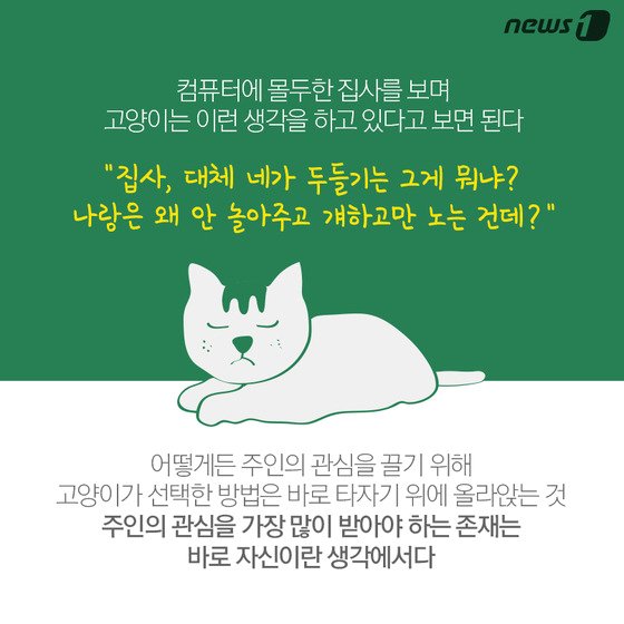 본문 이미지 - ⓒ News1