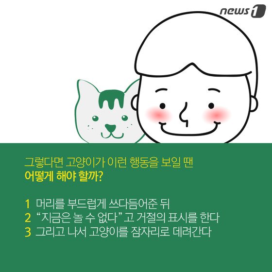 본문 이미지 - ⓒ News1