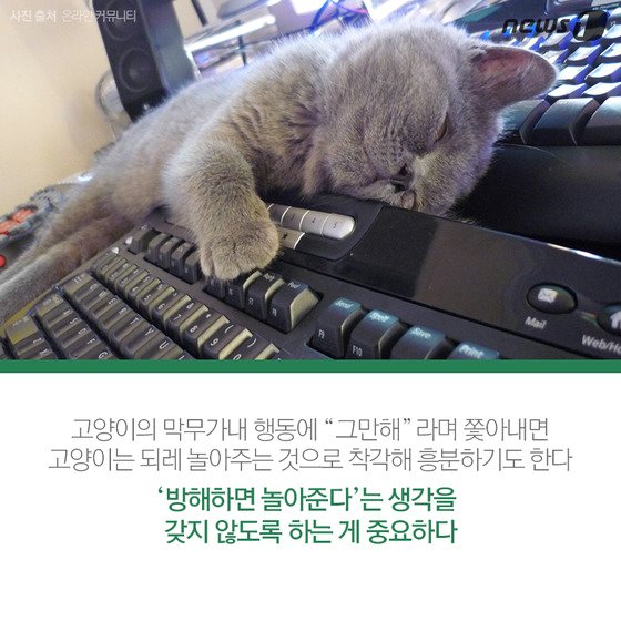 본문 이미지 - ⓒ News1