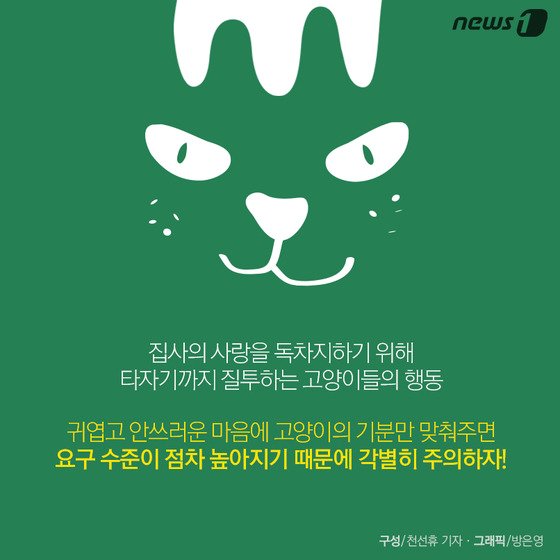 본문 이미지 - ⓒ News1